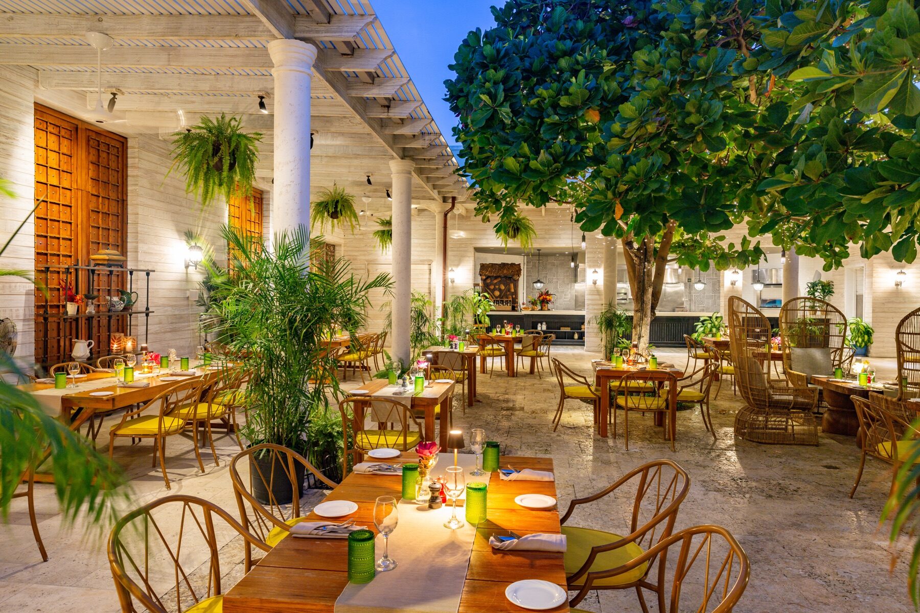 Courtyard restaurant lit for evening dining beneath a large shade tree
