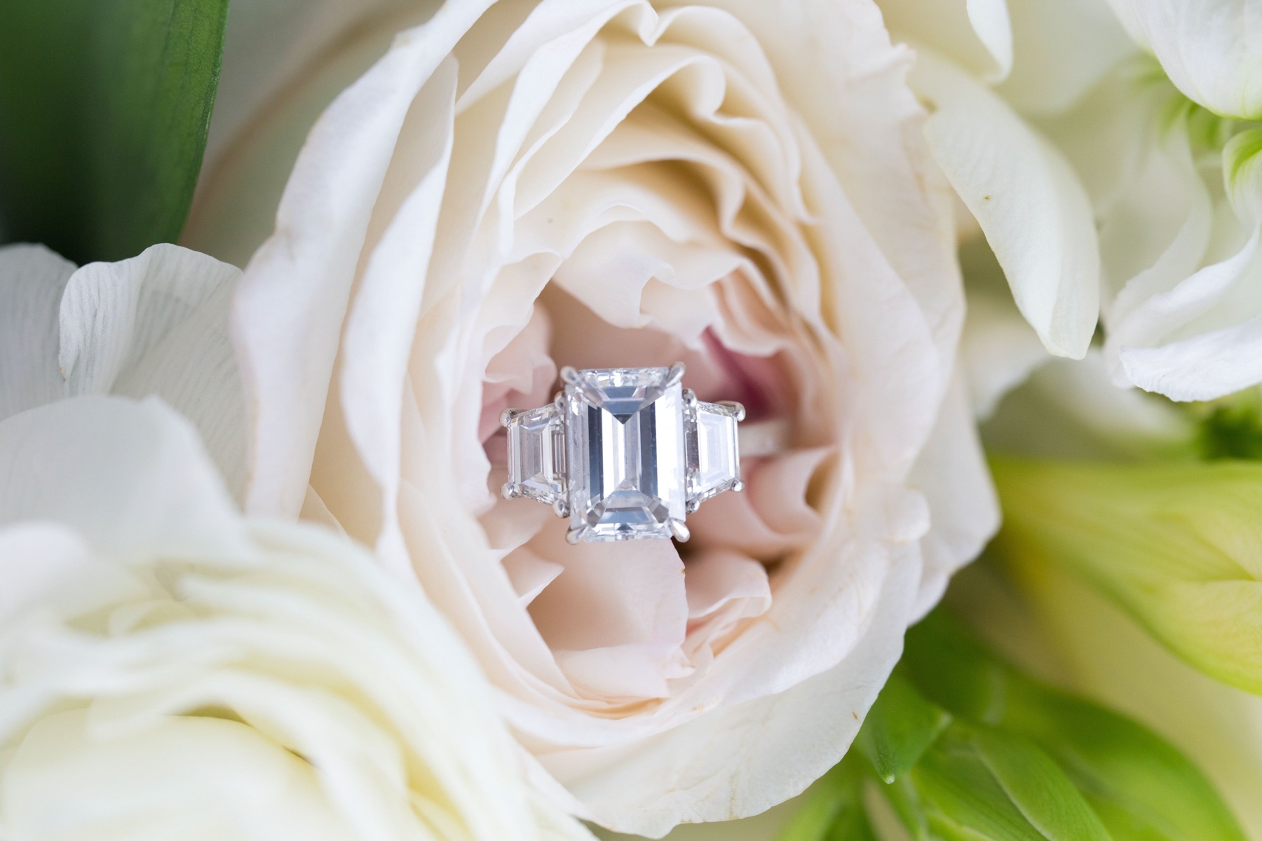 Close up of a diamond engagement ring nestled inside a blush garden rose
